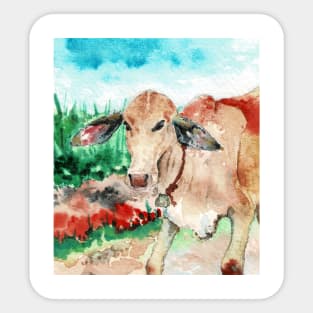 Cute Hand Painted Baby Cow in a Field Sticker